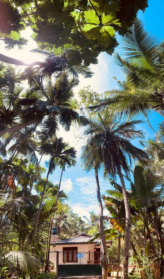 White Heaven Villa Унаватуна Екстер'єр фото