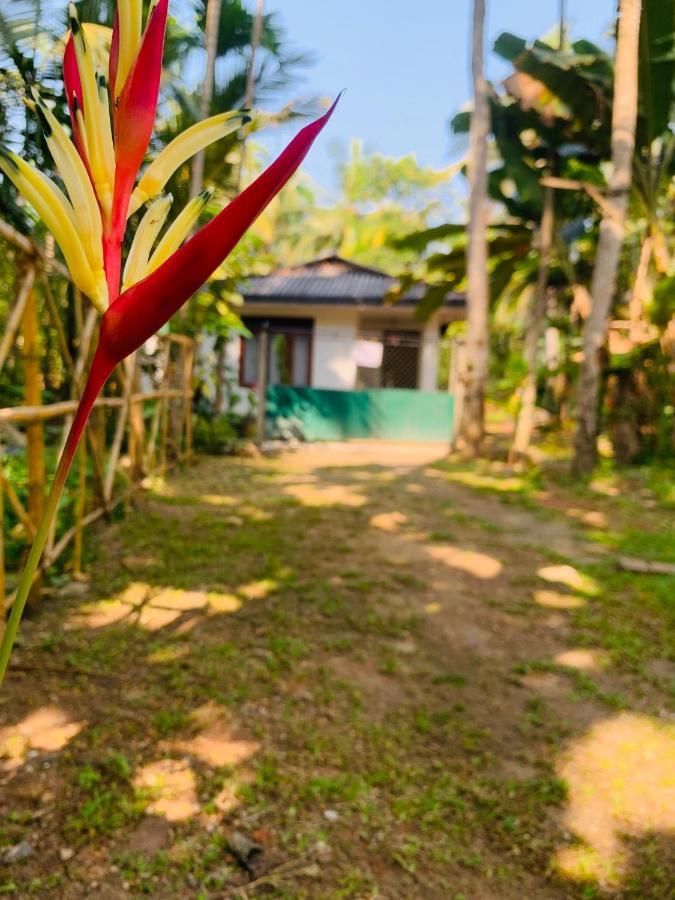 White Heaven Villa Унаватуна Екстер'єр фото